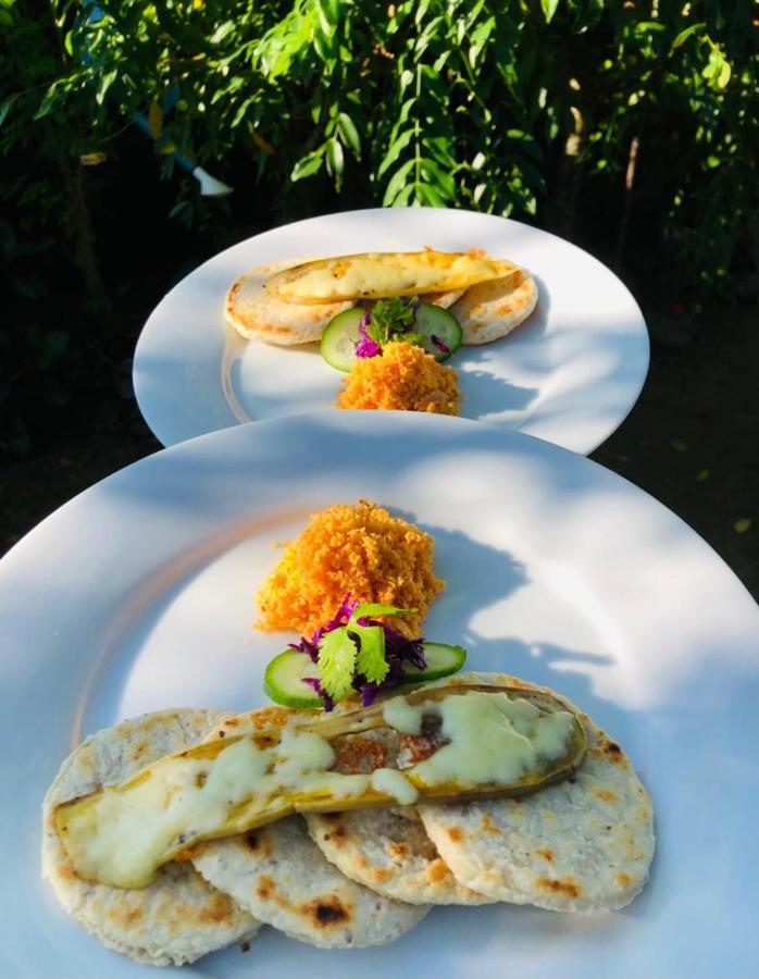 Haus 35 Bed & Breakfast Weligama Bagian luar foto